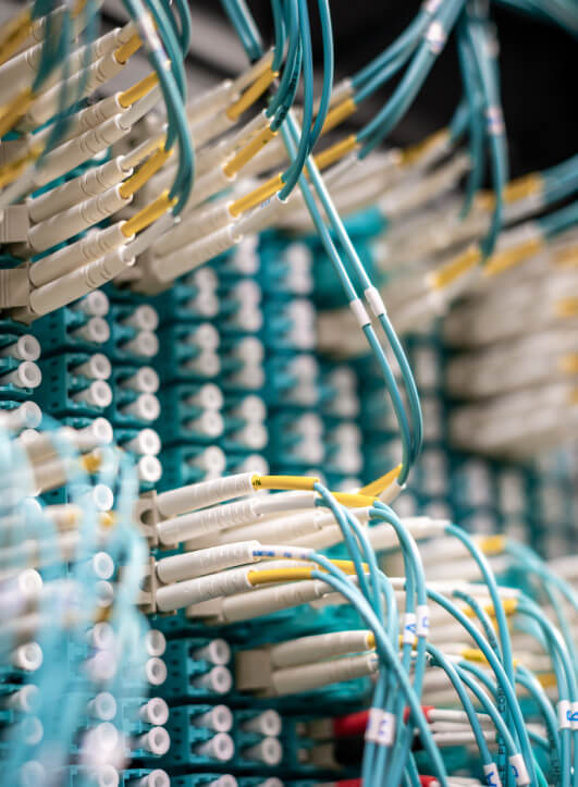 Networking Cables